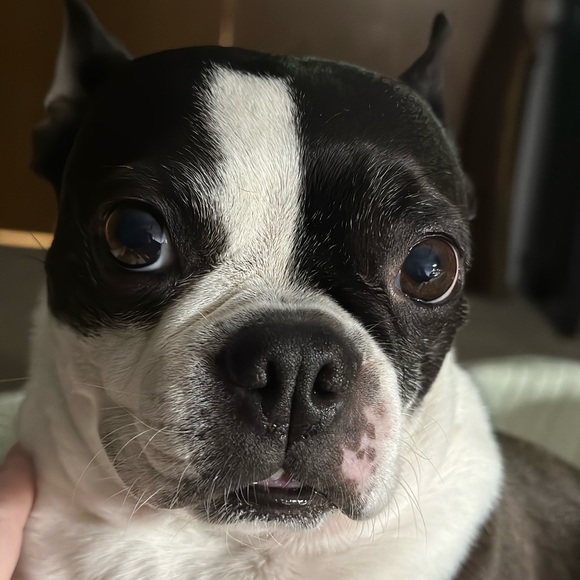 Meet your Posher, Amy - Picture 8 of 16